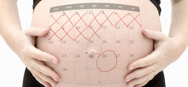 amma calendario de embarazo
