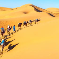 desierto color amarillo con camellos y personas